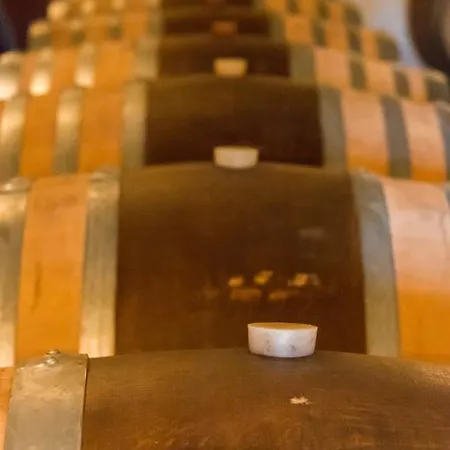 Casa Wallace Bed & Breakfast Cremolino